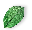 https://salimpa.pt/wp-content/uploads/2025/07/floating_leaf_01.png